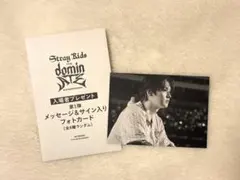 StrayKids スキズ 映画 特典 フォトカード トレカ リノ