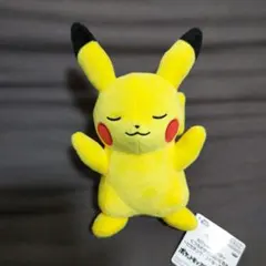 2026年最新】くつろぎ ピカチュウの人気アイテム - メルカリ
