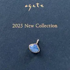 agete K10ラピスラズリ／ラブラドライトチャーム