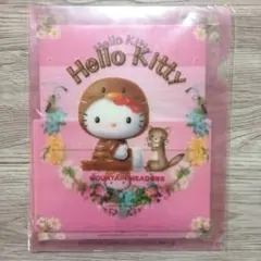 平成レトロ　ご当地キティ　レターセット　雷鳥キティ　新品未開封