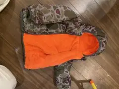 Item thumbnail for item 483b17c1-88b1-4768-bc1f-23a1a93d5c50