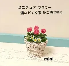 えくぼ様 リクエスト 2点 まとめ商品