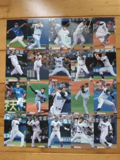 プロ野球チップスカード 横浜DeNAベイスターズ 2013年 2014年