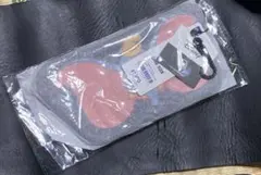 Item thumbnail for item de0d1d93-5ee4-4d3e-a8c7-4ef3ce89b412