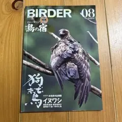 BIRDER 2026年8月号 狗鷲 イヌワシ 特集：鳥の宿