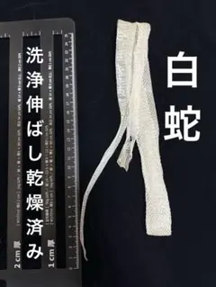 Item thumbnail for item 8dc631db-7ee7-47fa-8a13-2d418bab6140