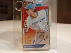 日本ハムファイターズ 記念グッズ