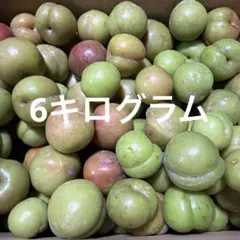 鹿児島産すもも9キロ 鹿児島産すもも9キロ - メルカリ