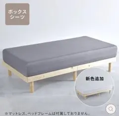 Item thumbnail for item bec47e3d-a3eb-4260-8c47-d628e84bcd29