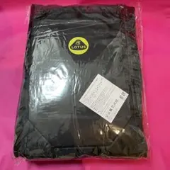 Item thumbnail for item 87318f7e-2250-44a3-a8fb-c7135ea2850e