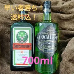 2026年最新】イエガーマイスターの人気アイテム - メルカリ