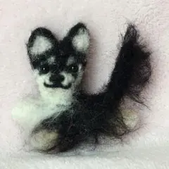 羊毛フェルト 犬 チワワ ブラック 黒 タン - メルカリ