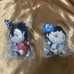 ハイキュー‼︎ フリューくじ ぬいもっちマスコット 黒尾鉄朗　赤葦京治　2セット