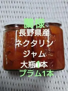 蘭様専用　長野県産　ネクタリン　ジャム　大瓶1本　プラム1本
