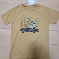 Item thumbnail for item eb435640-5e98-4825-a479-3ac177293d7a