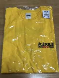 GENERATIONS Tシャツ Mサイズ