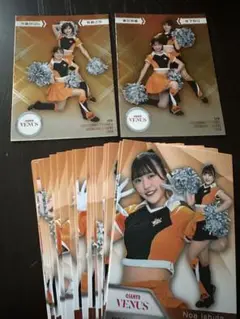 BBM 2025 プロ野球チアリーダーカード VENUS レギュラー+インサート