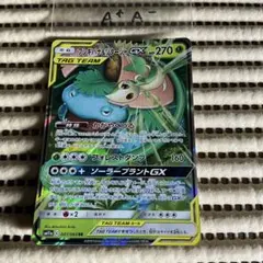 フシギバナ&ツタージャgx RR A+A- 5