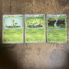 ポケモンカード　ツタージャ　ジャノビー　ジャローダ