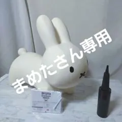 Item thumbnail for item 8d2040d9-d44c-4cda-b5cf-76b059e57c66