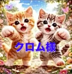 クロム様　猫ちゃん　柴ちゃんパネル　トートバッグ　小物入れ