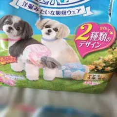 Item thumbnail for item 9be33ba3-d915-4004-b3de-f5769104f136