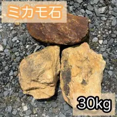 2026年最新】ミカモ石の人気アイテム - メルカリ