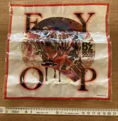 B'z LIV-GYM2025 FYOPファイバータオル