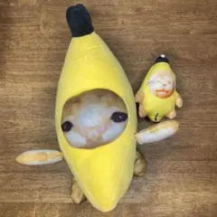 Item thumbnail for item cb1021e0-a9b5-4ca1-abd9-5f02182e0c30