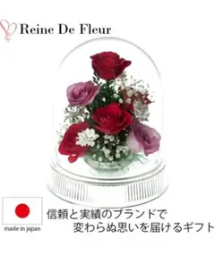 2025年最新】レンデフロールの人気アイテム - メルカリ