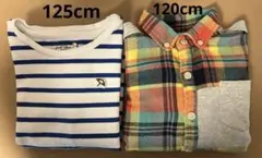 【アーノルドパーマー】125カットソー 【Combi mini】120長袖シャツ