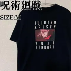激レア】映画 ラストサムライ/THE LAST SAMURAI ムービーT - メルカリ
