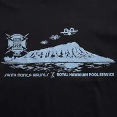 2026年最新】ROYAL HAWAIIAN POOL SERVICE メンズ Tシャツの人気 