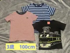 Polo Ralph Lauren などTシャツ 3枚セット 100cmのサムネイル
