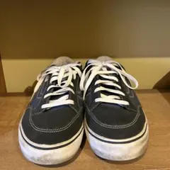 Item thumbnail for item fe445306-0303-45b5-be7f-4780f69cd1c2