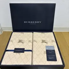 Burberry 羽毛肌掛けふとん 150×200cm イヴ・サンローランタオル