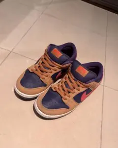 Nike SB Dunk Low Pro 