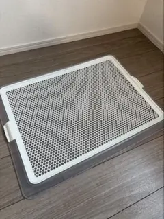 Item thumbnail for item fba92987-fde4-46a4-a88d-8c26263a65e6