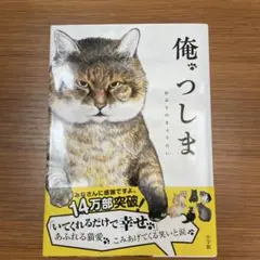 Item thumbnail for item 7cd7c0b2-d2c7-40dc-b8cf-9042f34299af