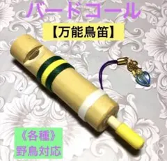 Item thumbnail for item 664e78e8-692d-4912-bc38-5a1661bed36b