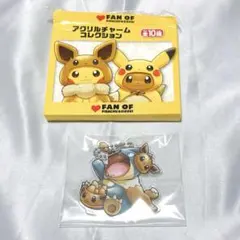 2026年最新】イーブイポンチョのピカチュウの人気アイテム - メルカリ