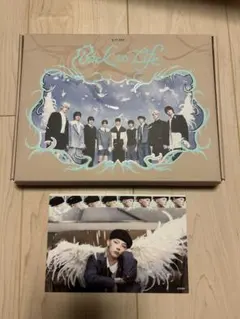 &TEAM Back to Life GAZEver.