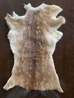 毛皮　子鹿　小鹿　仔鹿　バンビ　ラグ