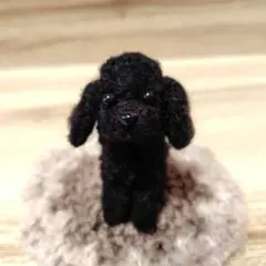 羊毛フェルト 毛糸 トイプードル（レッド）大きめ❣️23cm 羊毛フェルト 毛糸 トイプードル（レッド） - メルカリ