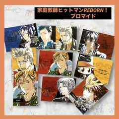 家庭教師ヒットマンREBORN！ブロマイド　まとめ売り　沢田綱吉　獄寺隼人