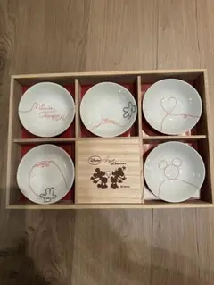 ディズニー ミッキー ミニー 食器セット 5個