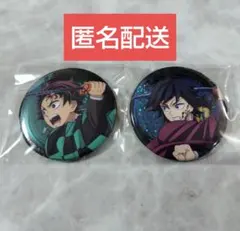 鬼滅 無限城編　ランダムグリッター缶バッジ　義勇　炭治郎