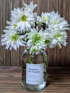 ひこうき草様 リクエスト 5点 まとめ商品