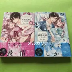 レディースコミック