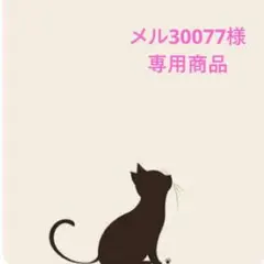 メル30077様 リクエスト 4点 まとめ商品